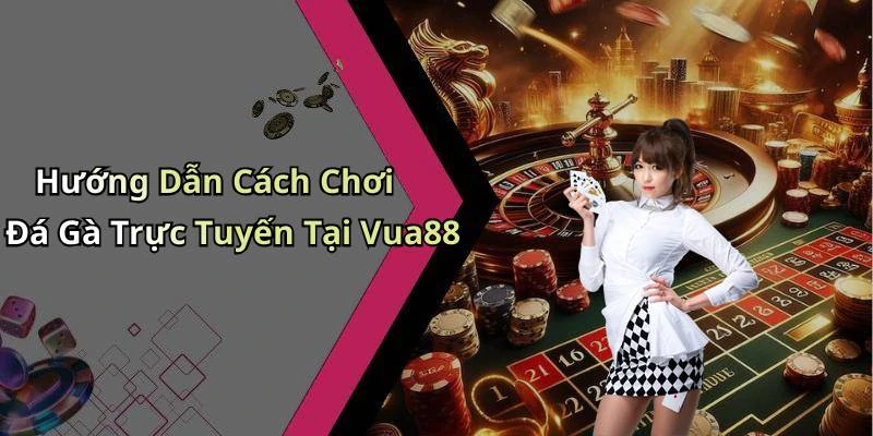 Hướng Dẫn Cách Chơi Đá Gà Trực Tuyến Tại Vua88