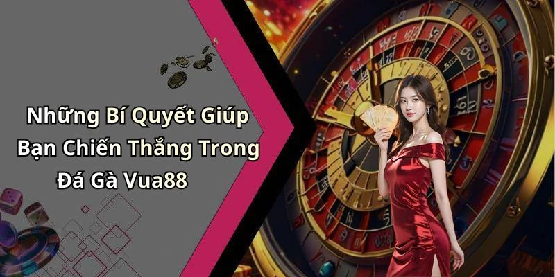 Những Bí Quyết Giúp Bạn Chiến Thắng Trong Đá Gà Vua88