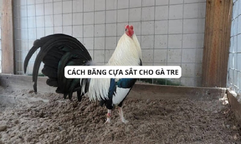 cach-bang-cua-ga-my-nhanh-chuan-va-don-gian-nhat-12