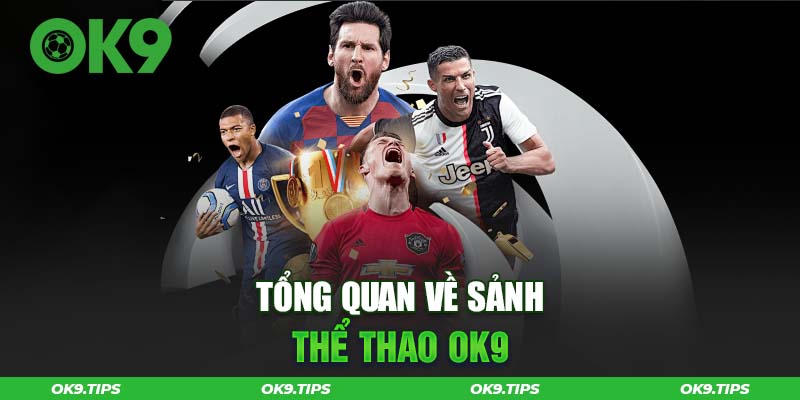 the-thao-ok9-ca-cuoc-the-thao-uy-tin-hang-dau-viet-nam-40